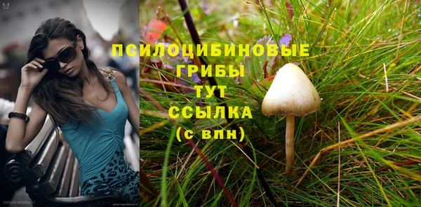 спайс Алексеевка